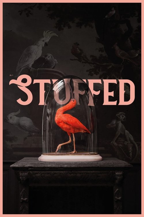 Stuffed (2019) PelículA CompletA 1080p en LATINO espanol Latino