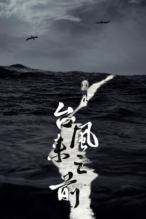 Before the Typhoon Comes poster 3