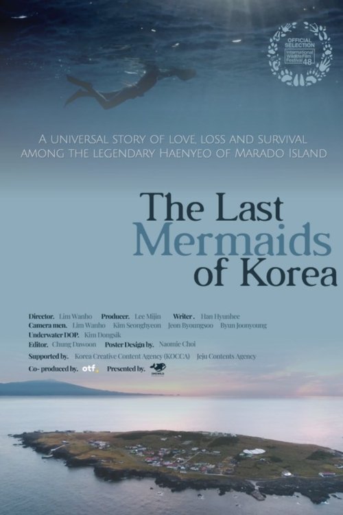The Last Mermaids of Korea