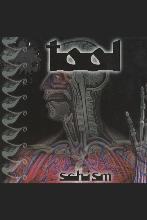 TOOL - Schism Poster