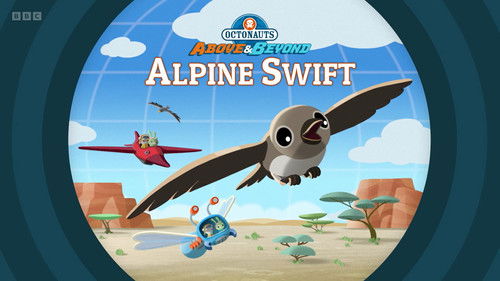 Alpine Swift