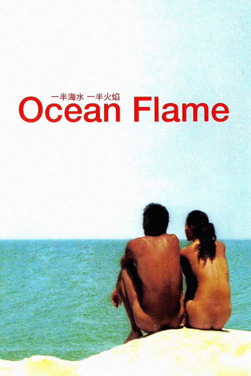 一半海水一半火焰电影海报