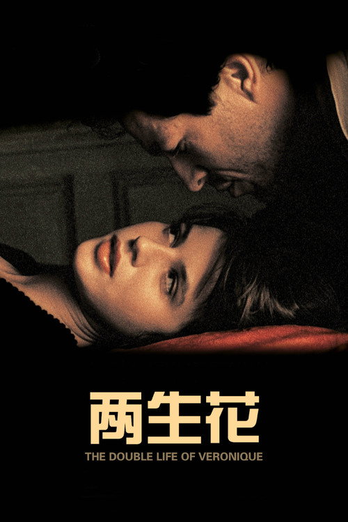 两生花电影海报