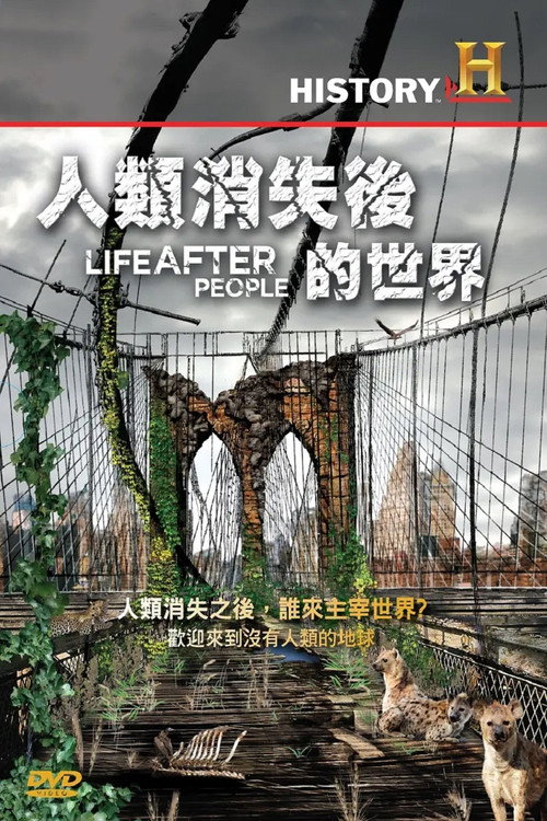 人类消失后的世界电影海报