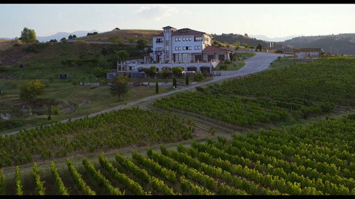 Cabernet Franc