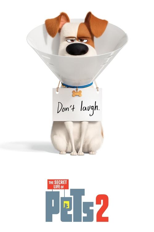 Download The Secret Life of Pets 2 (2019) Full Movies HD Quality