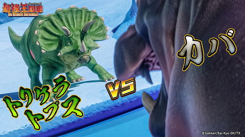 Triceratops VS Hippopotamus