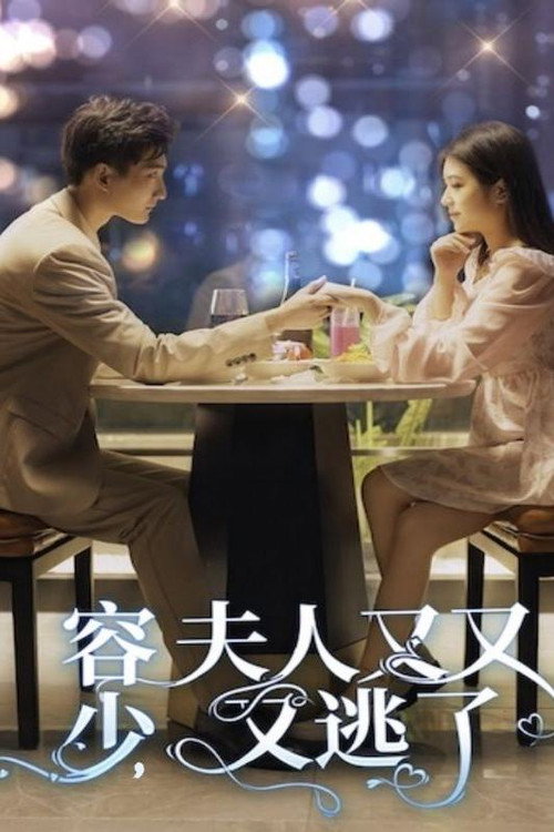 容少，夫人又又又逃了电影海报