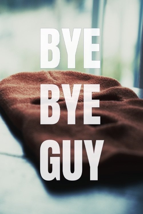 Bye-Bye Guy Poster
