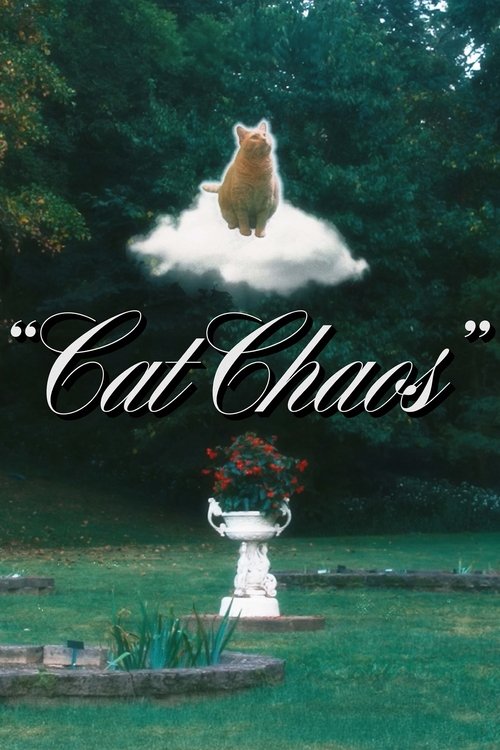 Cat Chaos Poster