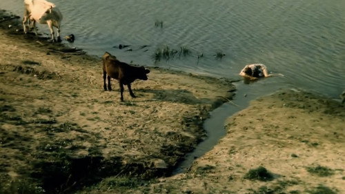 image10