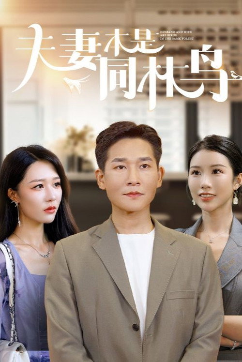 夫妻本是同林鸟电影海报
