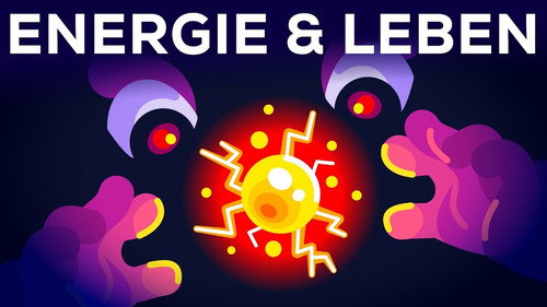 Why Are You Alive – Life, Energy & ATP