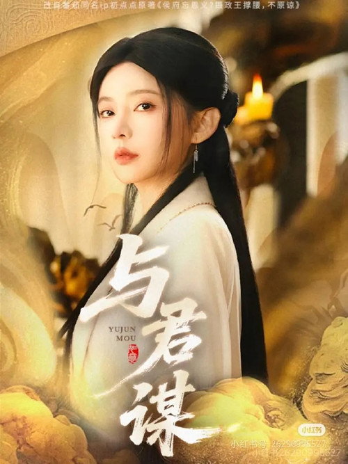 与君谋电影海报
