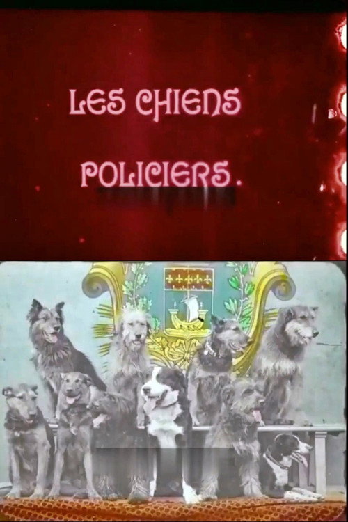 Les Chiens policiers电影海报
