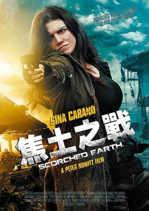 焦土作战电影海报