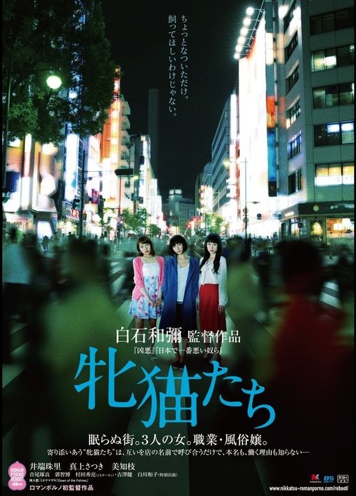 Dawn of the Felines 2017