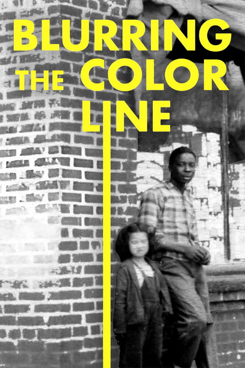 Blurring the Color Line: Chinese in the Segregated South poster 2