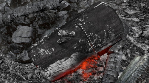Gonna Get Along Without You Now (Burning Log)