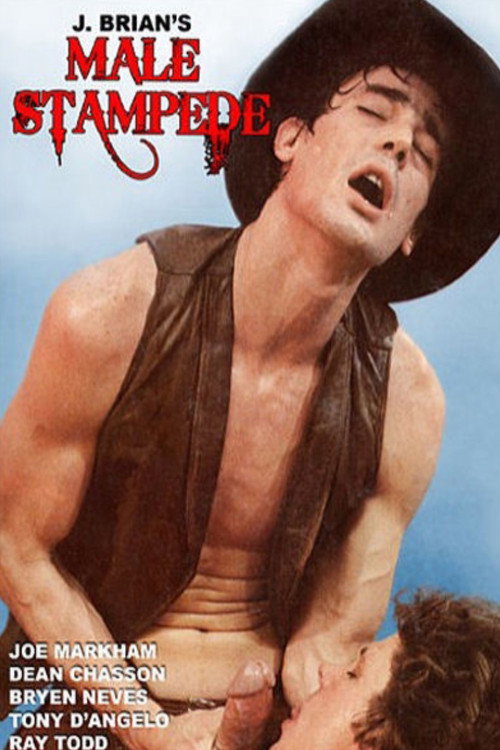 Male Stampede poster 2