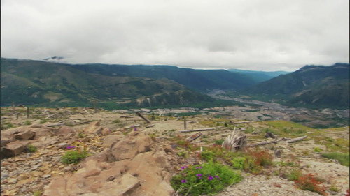 The Petrified Forest