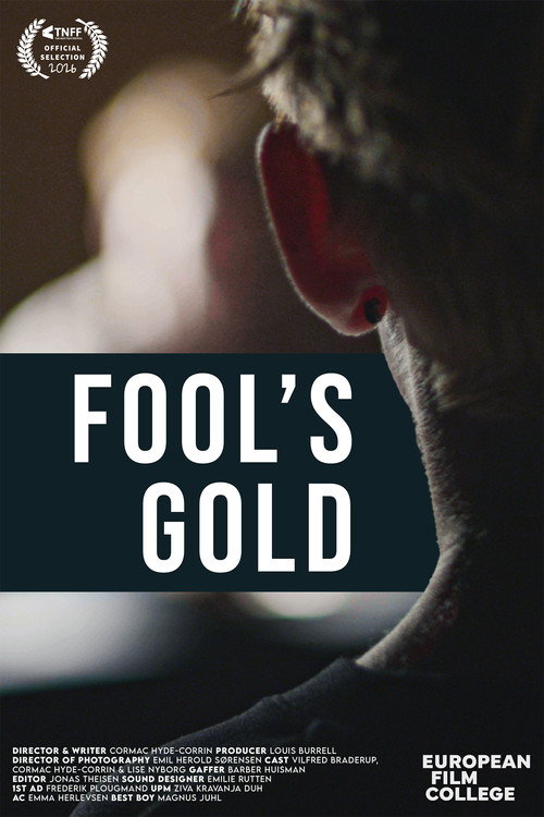Fool's Gold poster 4