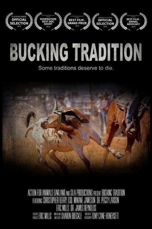 Bucking Tradition's poster