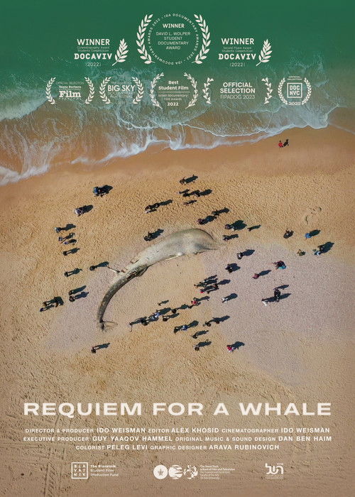Requiem for a Whale