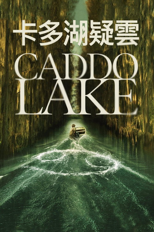 凯多湖的消失电影海报