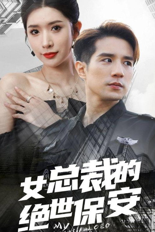 女总裁的绝世保安电影海报