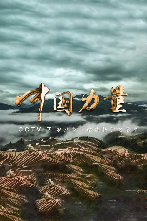 中国力量电影海报