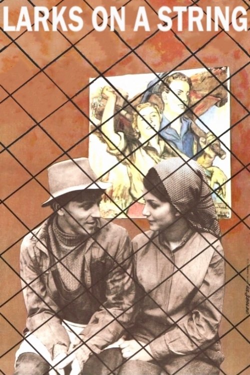Larks on a String movie poster player