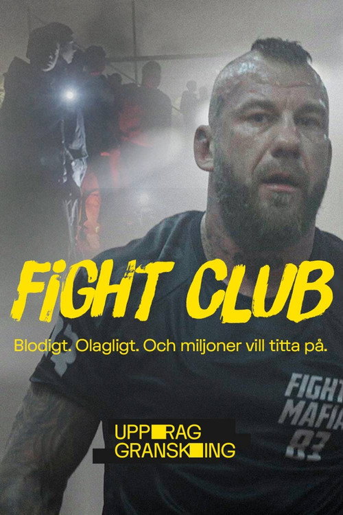 Uppdrag granskning: Fight club电影海报