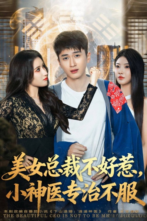 美女总裁不好惹，小神医专治不服