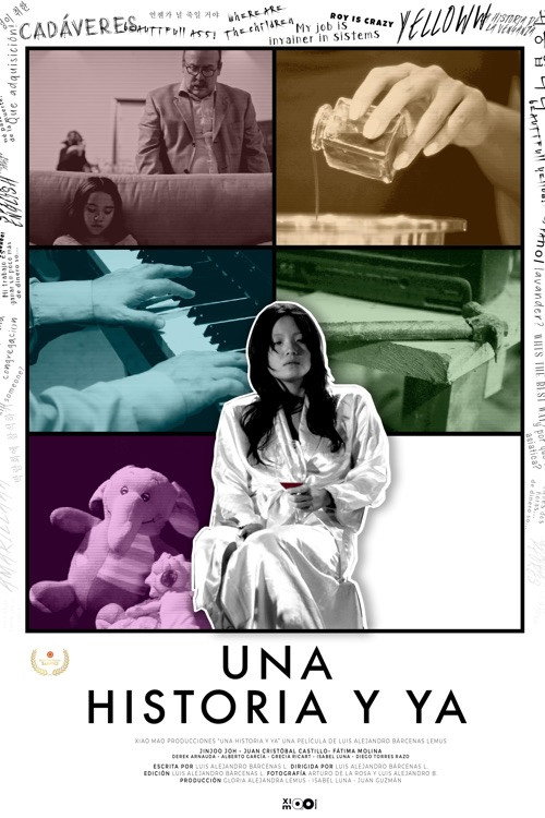 It's Only A Story poster 2