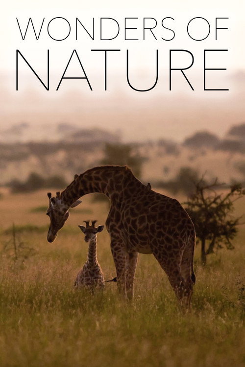 Wonders of Nature电影海报