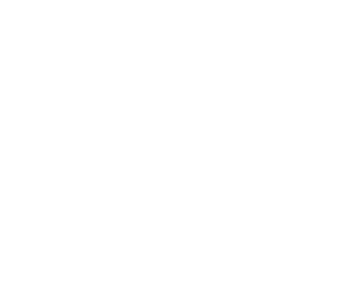 HOME ALONE Logo
