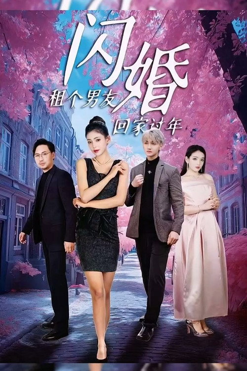 闪婚租个男友回家过年电影海报