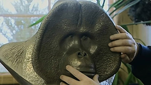 Monkey Business第9季第3集