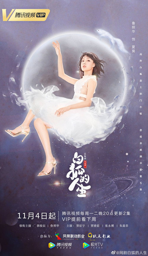 The Life of White Fox poster 3