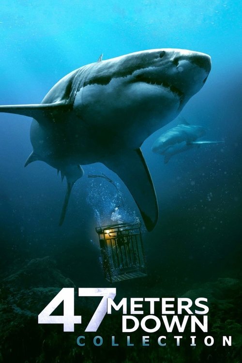 47 Meters Down Collection