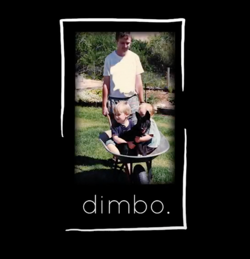 Dimbo Pictures Logo