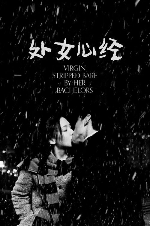 处女心经电影海报