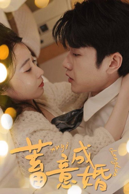 蓄意成婚电影海报