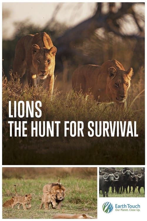 Lions%3A+The+Hunt+for+Survival