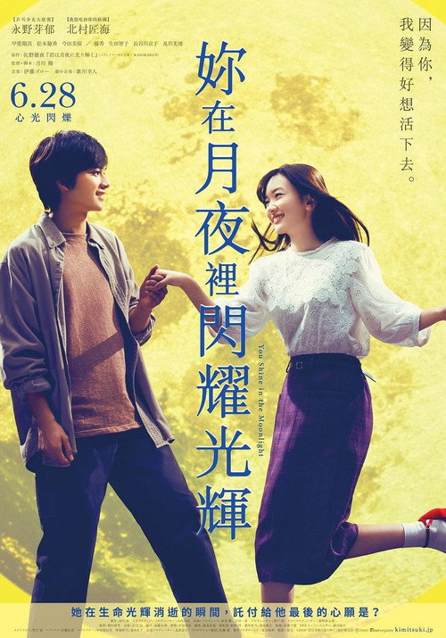 你在月夜里闪耀光辉电影海报