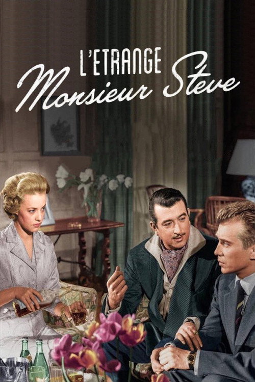 The Strange Mr. Steve poster 2