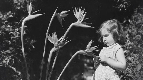 The Charm & Chaos of SoCal's Botanical Landscape