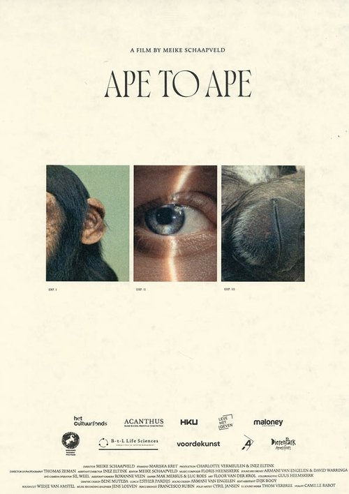 Aap tot Aap