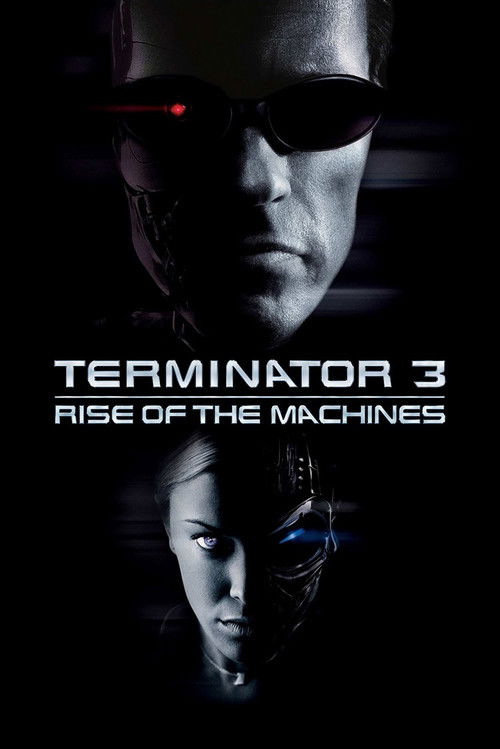Terminator 3: Rise of the Machines